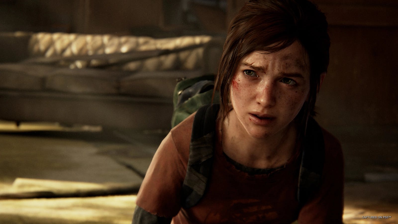 54d473aa 888d 43b0 b260 bd45da832467 thelastofus