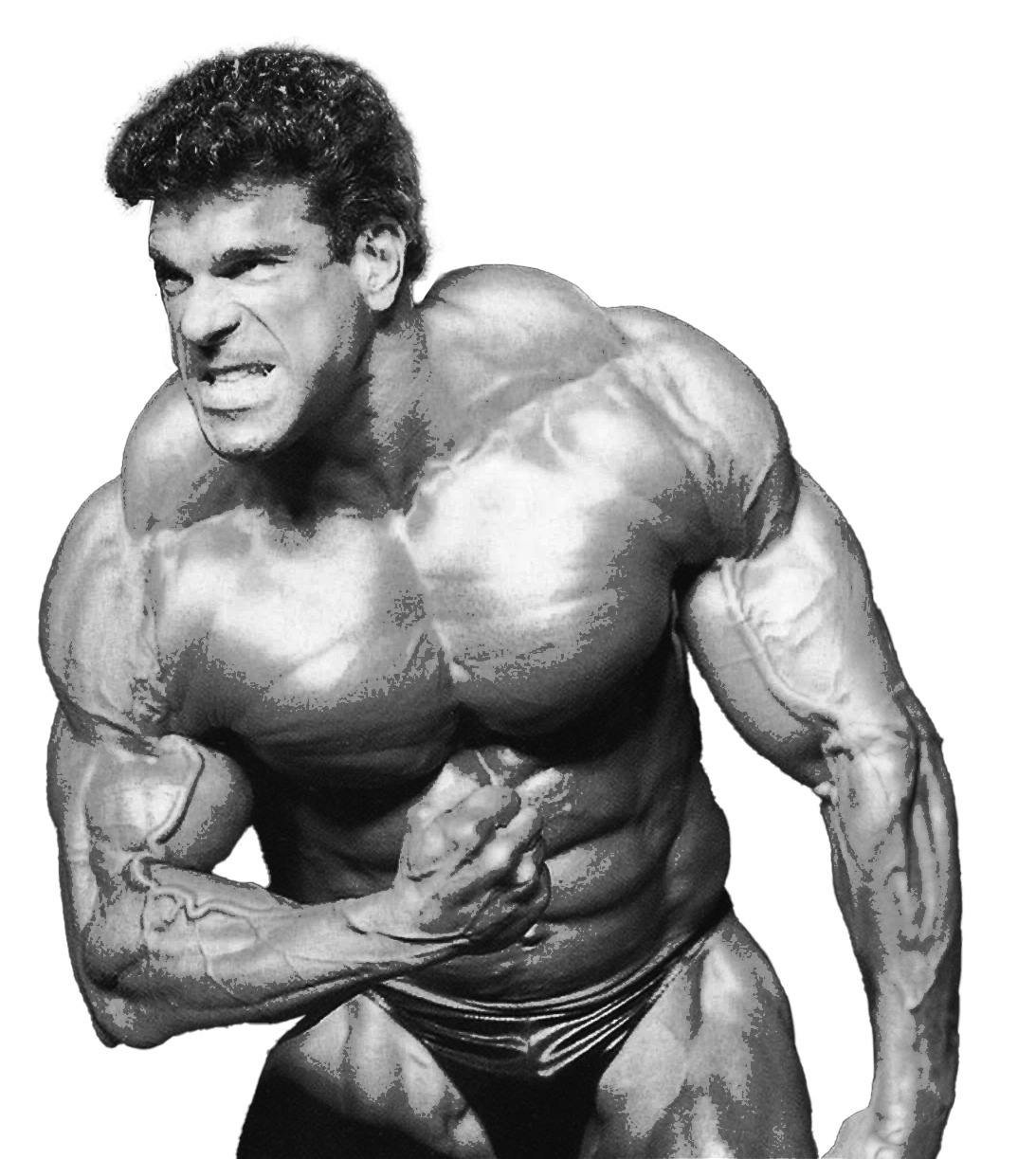 zmcpf5m069vx1mqw lou ferrigno 2 1