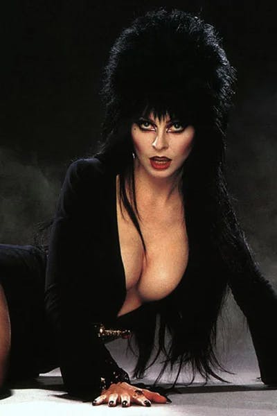 zzyh668jqart04gi elvira